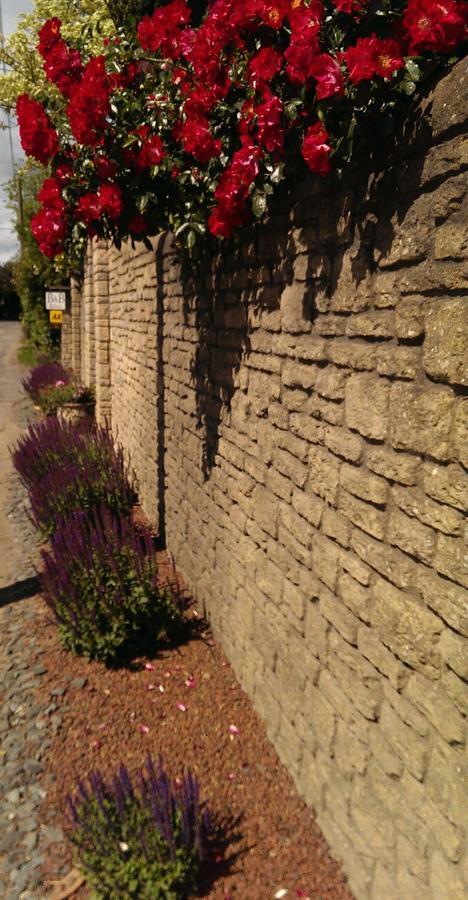 B&B Rafters Abingdon-on-Thames Exterior photo